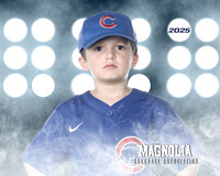 6U_Cubs_McCullen_Gentry_MAG11532_LIT