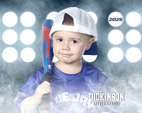 TB_BLUEJAYS_Kovacevich_Graceson_DLL11656_LIT