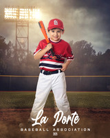 4U_Foal_Cardinals_Martinez_Mateo_LP022629_FIELDLIGHTS