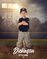 TB_ASTROS_DUES_LUKE_DLL29680_FIELD LIGHTS_