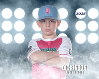 MINORS_TORTUGAS_Rodriguez_Kathan_DLL20657_LIT