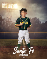 CP7_BEARS_Gordy_Landan_SF110842_FIELDLIGHTS