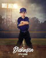 CP5U_RAYS_Wallace_Jameson_DLL29512_FIELD LIGHTS_
