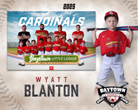 M3_ Cardinals_Blanton_Wyatt_BAY28005_MM