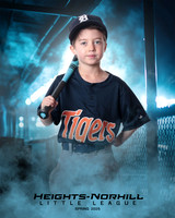 TB_TIGERS_McMurrey_Marshall_HN020941_DUGOUT