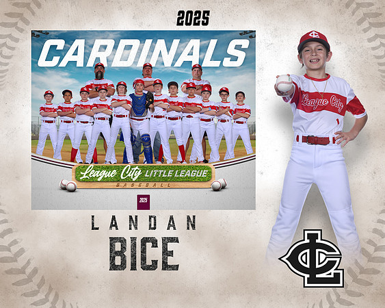 MJR.Powell.Cardinals_Bice_Landan_143A1736_MM