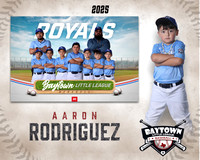 M2_ Royals_Rodriguez_Aaron_BAY29476_MM