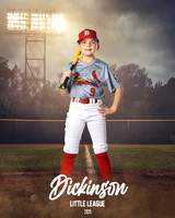 MJR_CARDINALS_Burkett_Kason_DLL13148_FIELD LIGHTS_