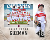 CP.Gibson.Cardinals_Guzman_Elian_SF_27490_MM