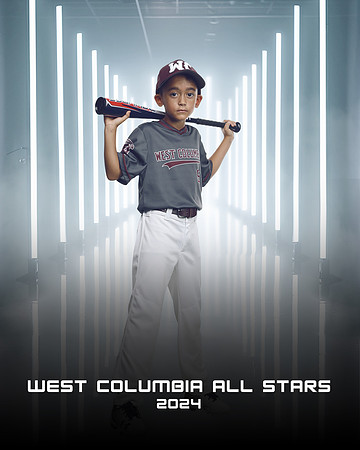 8U_CONNOR_BASS_SF_29306_LINES_