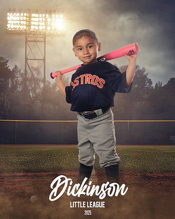 TB_ASTROS_Alvarez_Glenda_DLL29666_FIELD LIGHTS_