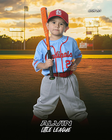 TB_ CARDINALS_Ruiz_Leonardo_143A3228_SUNSHINE