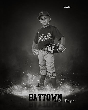 M2_ Mets_Gonzalez_Fidel_BAY12754_ROFbw