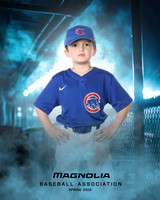 6U_Cubs_McCullen_Gentry_MAG11532_DUGOUT_