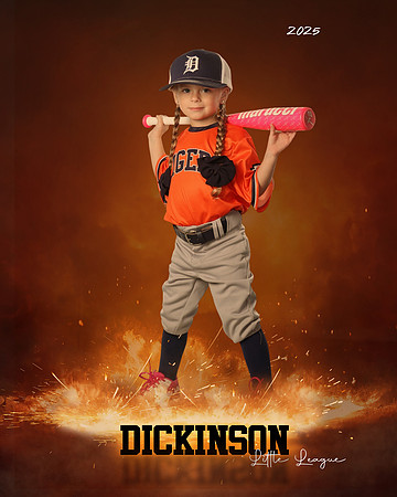 TB_TIGERS_Shafer_Harper_DLL12294_ROF