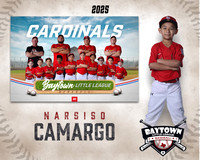 M3_ Cardinals_Camargo_Narsiso_BAY27977_MM