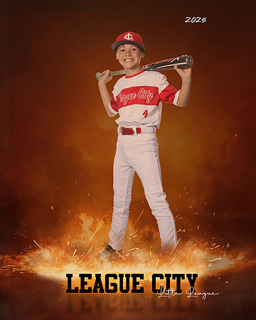 AAA.Lutz.Cardinals_Frankovich_Carter_IMG_1995_ROF
