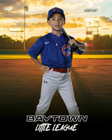 M3_ Cubs_Ramos_Adrian_BAY12235_SUNSHINE