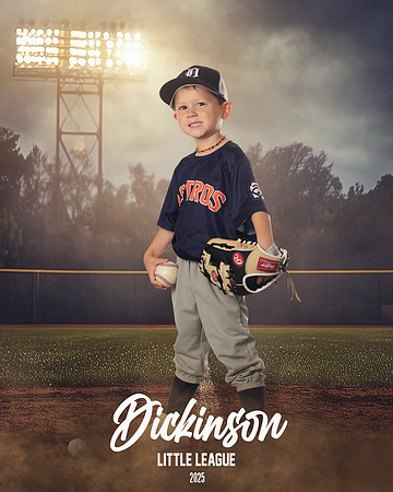 TB_ASTROS_DUES_LUKE_DLL29689_FIELD LIGHTS_