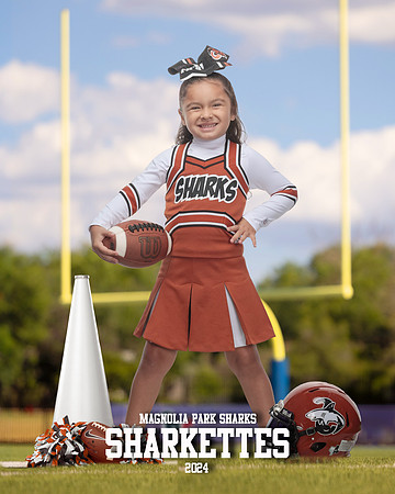 MASCOT_Cuadros_Gianna_IMGL0381_GOAL POST_