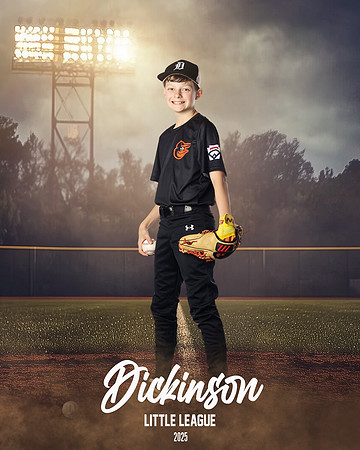 MJR_ORIOLES_Lee_Camden_DLL12963_FIELD LIGHTS_