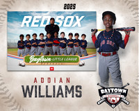 TB_ Red Sox_Williams_Addian_BAY28793_MM