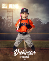 TB_TIGERS_Shafer_Harper_DLL12292_FIELD LIGHTS_