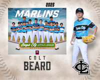MJR.Dickson.Marlins_Beard_Colt_SF_27426_MM