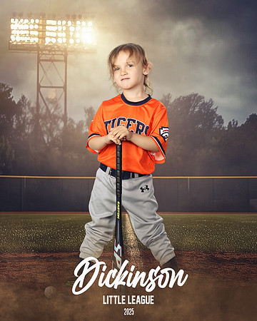 TB_TIGERS_Thorne_Anthony_DLL11626_FIELD LIGHTS_