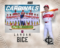MJR.Powell.Cardinals_Bice_Landan_143A1732_MM