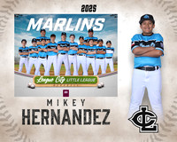 MJR.Dickson.Marlins_Hernandez_Michael_SF_27429_MM