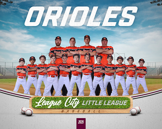 A.Schlesinger.Orioles_NO BG