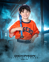 TB_TIGERS_Smith_William_DLL11543_DUGOUT_