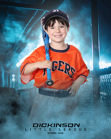 TB_TIGERS_Smith_William_DLL11543_DUGOUT_