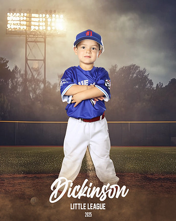 TB_BLUEJAYS_Guzman_Evan_DLL11678_FIELD LIGHTS_