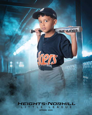 TB_TIGERS_Hernandez_Mason_HN020926_DUGOUT