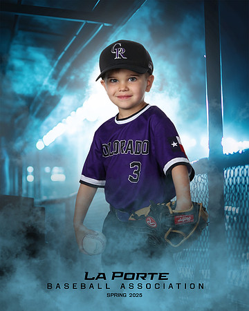 4U_Foal_Rockies_Shearfield_Carver_LP010174_DUGOUT