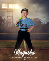 4_5U_Rays_Guillory_Sterling_MAG25152_FIELD LIGHTS_