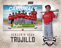 M1_Cardinals_Trujillo_Benjamin Noah_BAY14316_MM