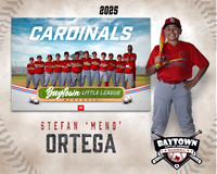 MJR_Cardinals_Ortega_Stefan_BAY29955_MM
