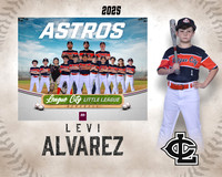 AA.Cowling.Astros_Alvarez_Levi_143A1293_MM_MM