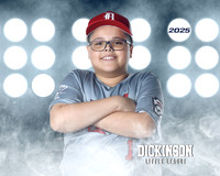 MJR_CARDINALS_Torres_Brody_DLL13154_LIT