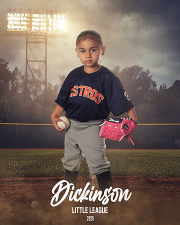 TB_ASTROS_Alvarez_Glenda_DLL29669_FIELD LIGHTS_