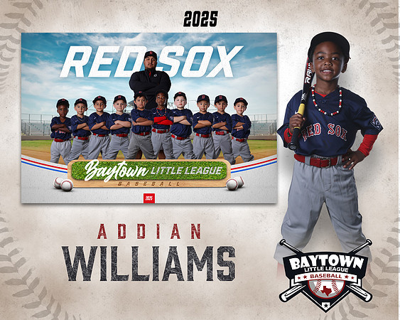 TB_ Red Sox_Williams_Addian_BAY28789_MM