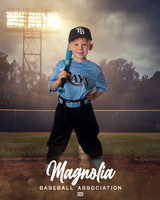 4_5U_Rays_Stephens_William_MAG25467_FIELD LIGHTS_