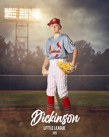 MJR_CARDINALS_Forte_Graham_DLL13141_FIELD LIGHTS_