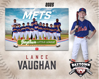 MJR_Mets_Vaughan_Lance_BAY14231_MM
