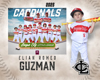 CP.Gibson.Cardinals_Guzman_Elian_SF_27487_MM
