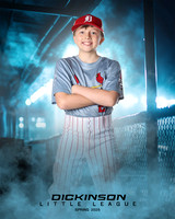 MJR_CARDINALS_Forte_Graham_DLL13134_DUGOUT_