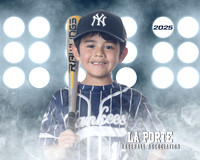 8U_Pinto_Yankees_Sanchez_Michael_LP023741_LIT